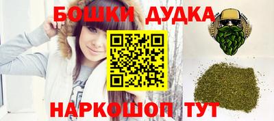 МДПВ Будённовск