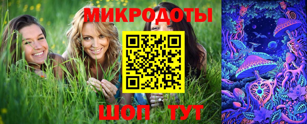 Петропавловск-Камчатский  Псилоцибиновые грибы прущие грибы  Вход с VPN  Псилоцибиновые грибы Cubensis 