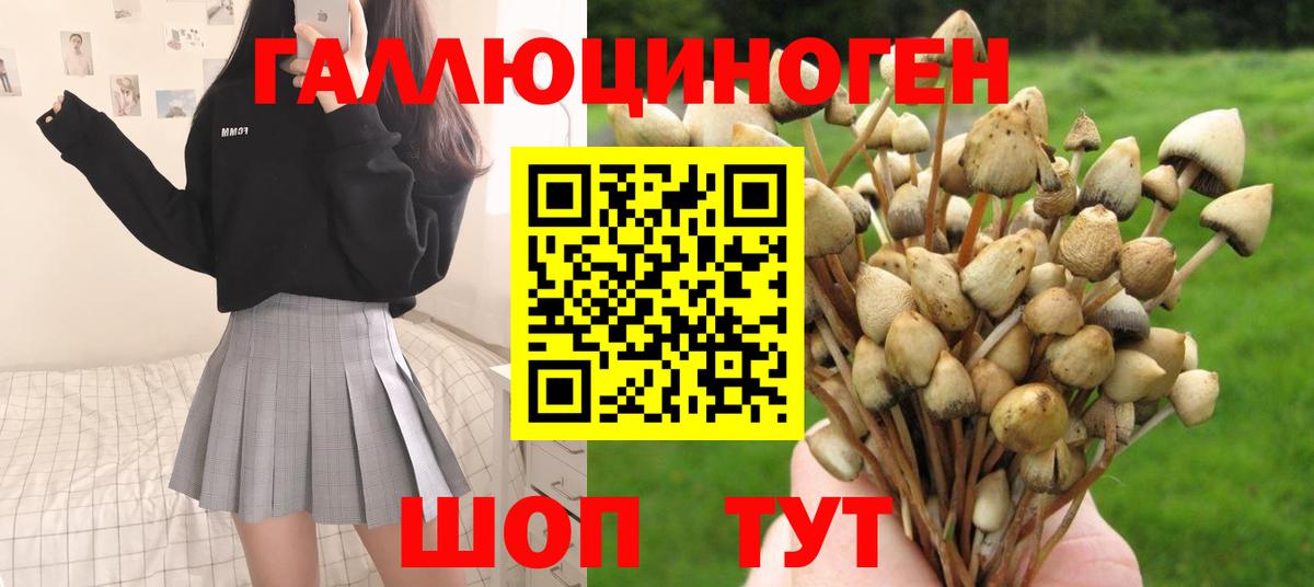 Галлюциногенные грибы MAGIC MUSHROOMS Петропавловск-Камчатский